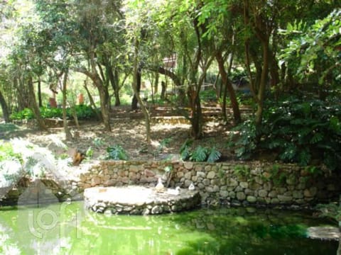 Image 25 - 254518